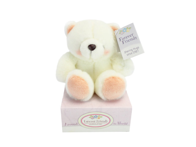 Teddy Bear n Doll - Hallmark Forever Friends White Teddy(Small) - TF0523A1 Photo